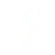 social media Facebook